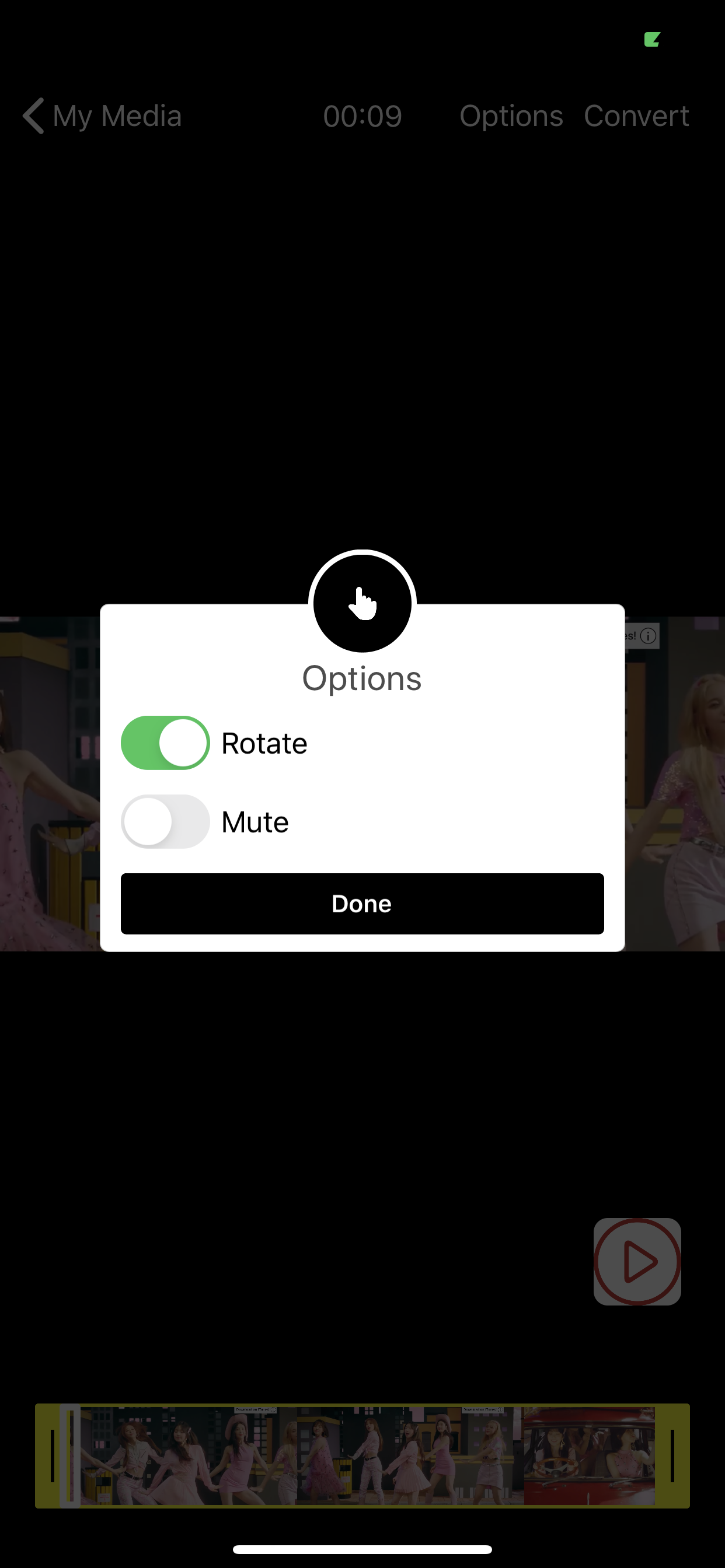 Live Photo Turning Blank?